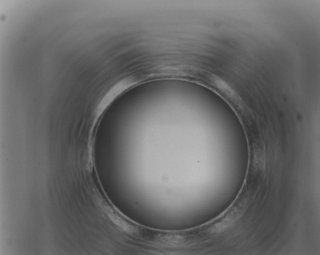 X0000062851370200601201652