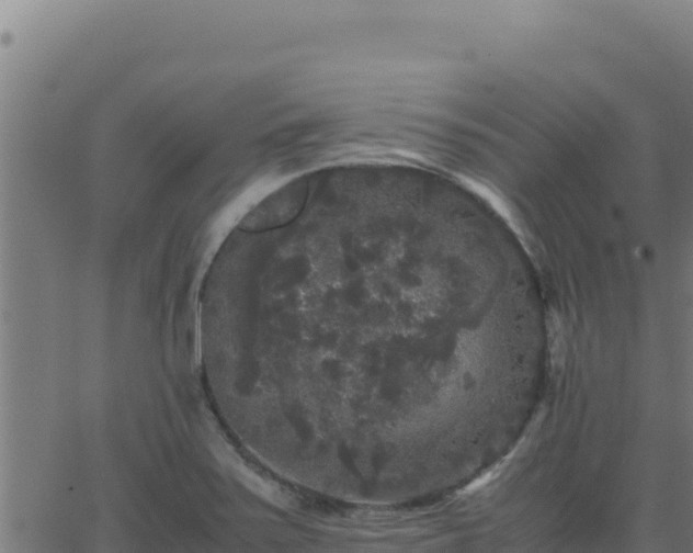 X0000062851371200601201652