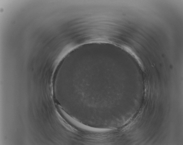 X0000062851372200601201652