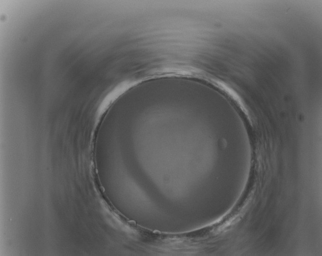 X0000062851373200601201652