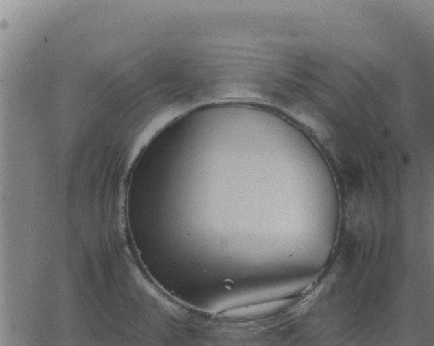 X0000062851374200601201652