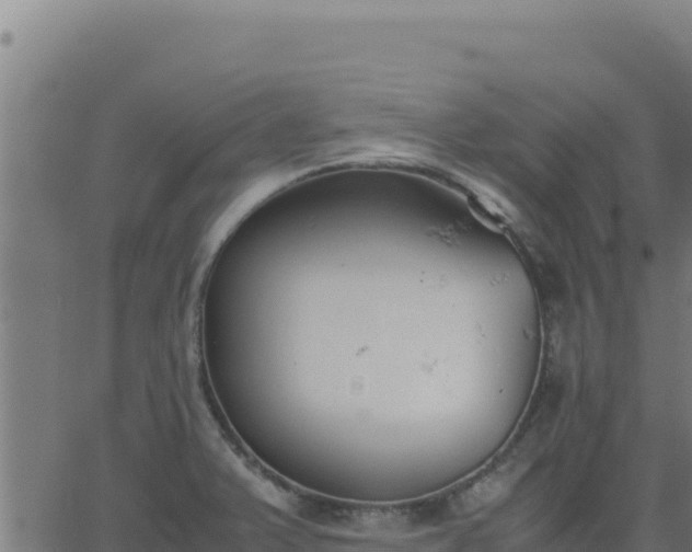 X0000062851375200601201652