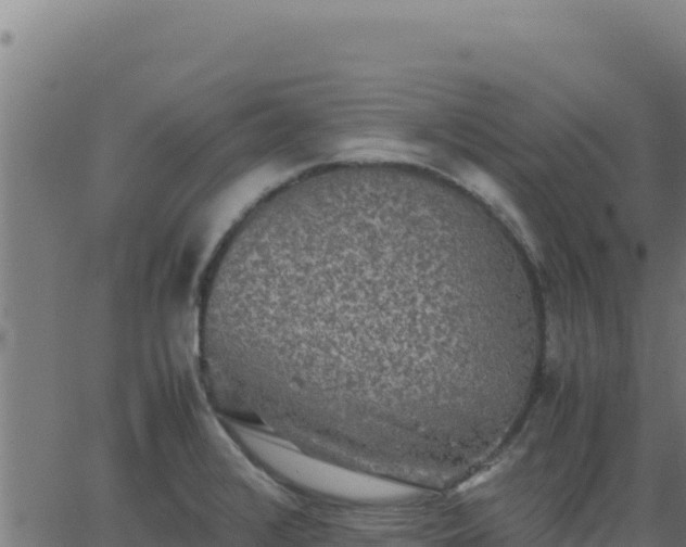 X0000062851376200601201652