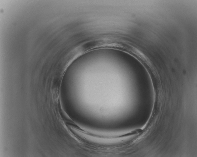 X0000062851377200601201652