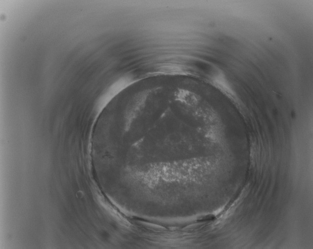 X0000062851378200601201652