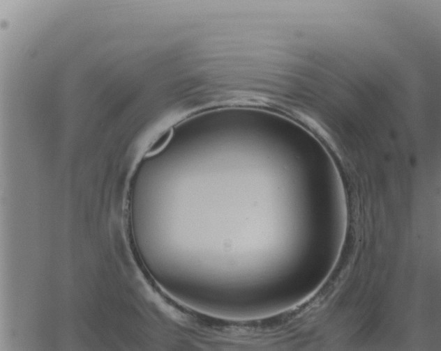 X0000062851379200601201652