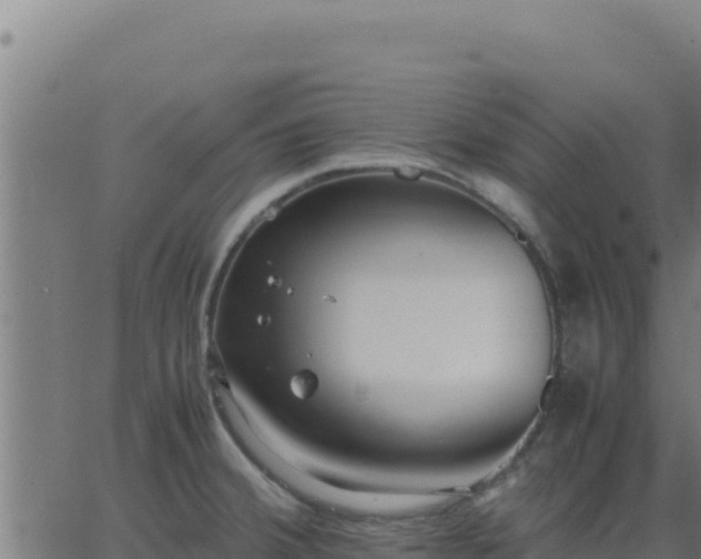 X0000062851380200601201652