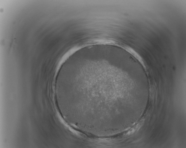 X0000062851381200601201652