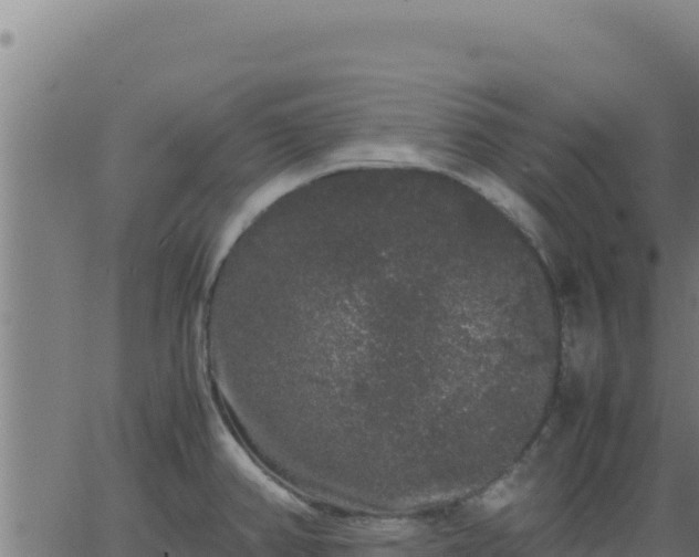 X0000062851382200601201652