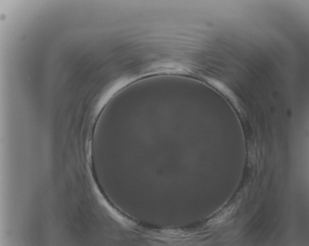 X0000062851383200601201652