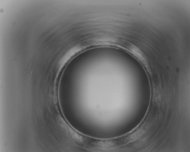 X0000062851384200601201652