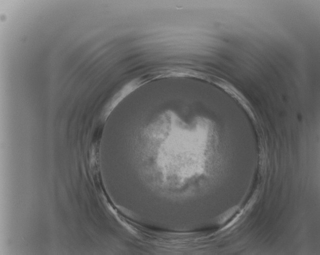 X0000062851385200601201652