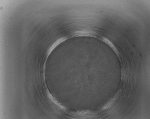 X0000062851386200601201652