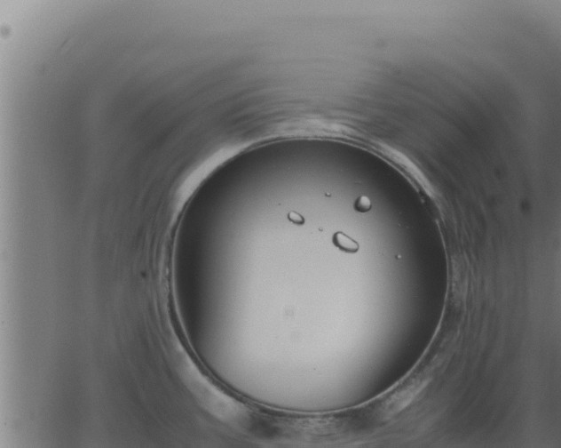 X0000062851387200601201652