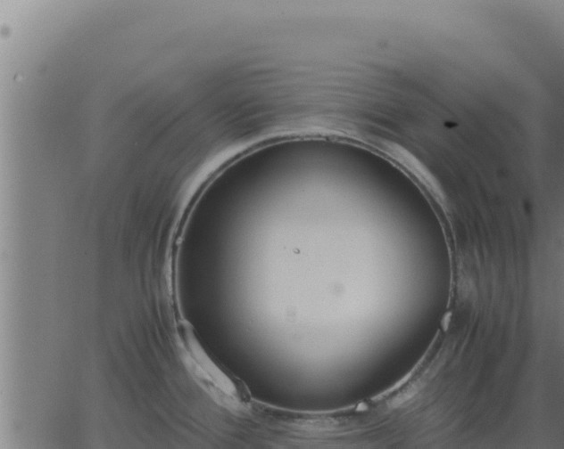 X0000062851388200601201652