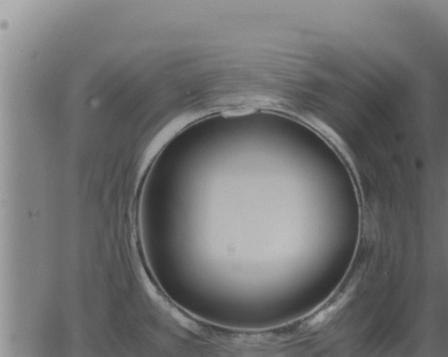 X0000062851389200601201652