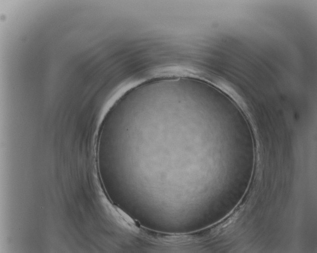 X0000062851392200601201652