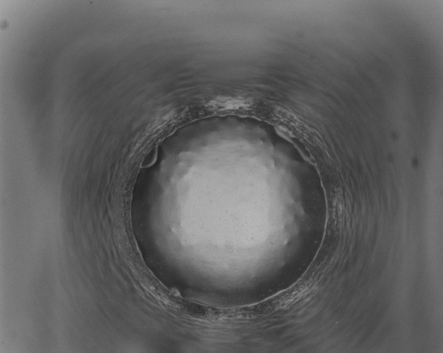 X0000062851393200601201651