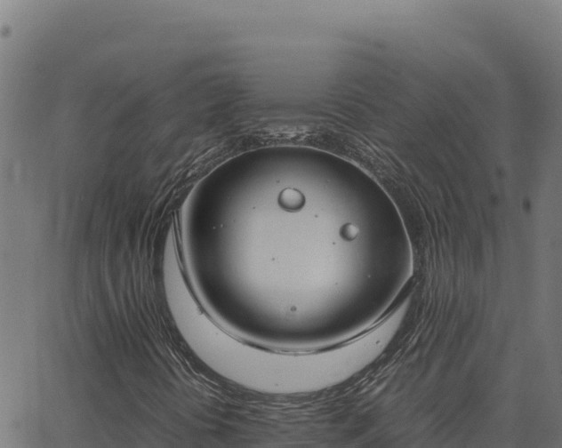 X0000062851394200601201651