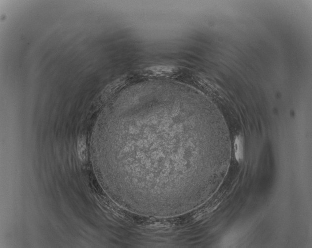 X0000062851395200601201651