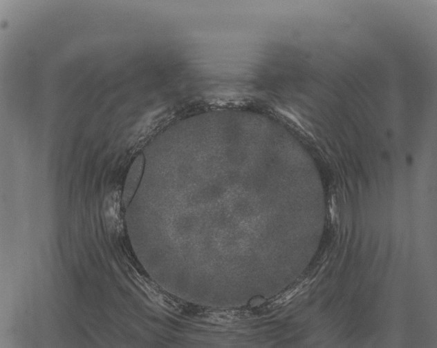 X0000062851396200601201651