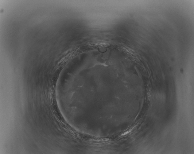 X0000062851397200601201651