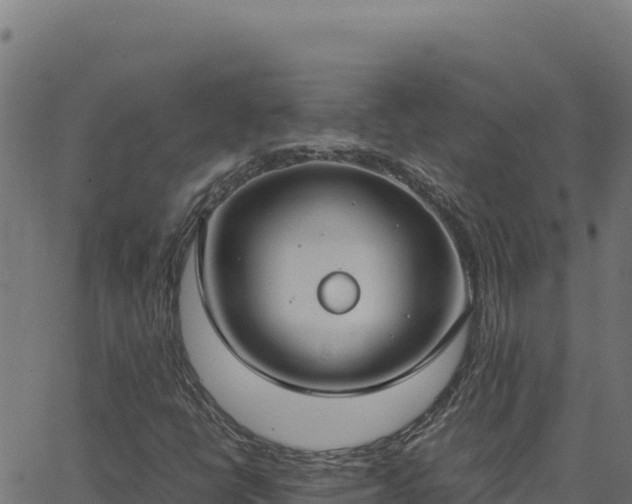 X0000062851398200601201651