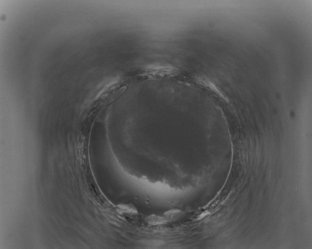 X0000062851399200601201651