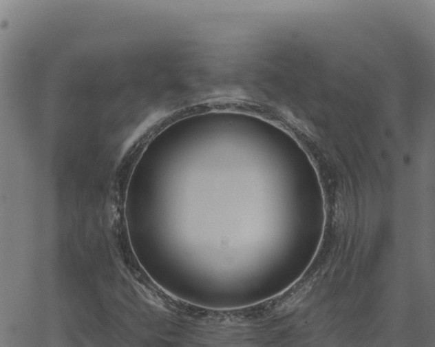 X0000062851400200601201651