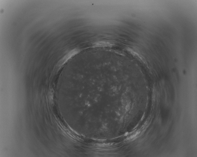 X0000062851401200601201651