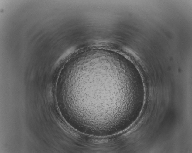 X0000062851403200601201651