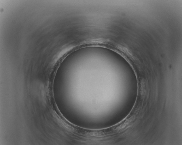 X0000062851404200601201651