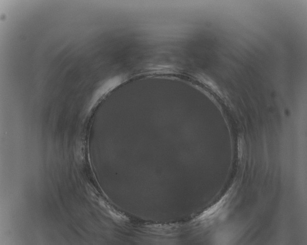 X0000062851405200601201651