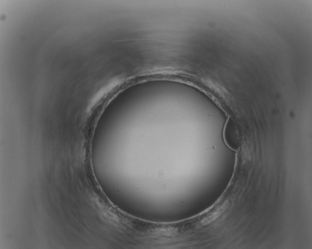 X0000062851406200601201651