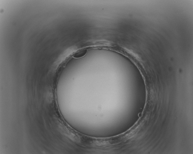 X0000062851407200601201651