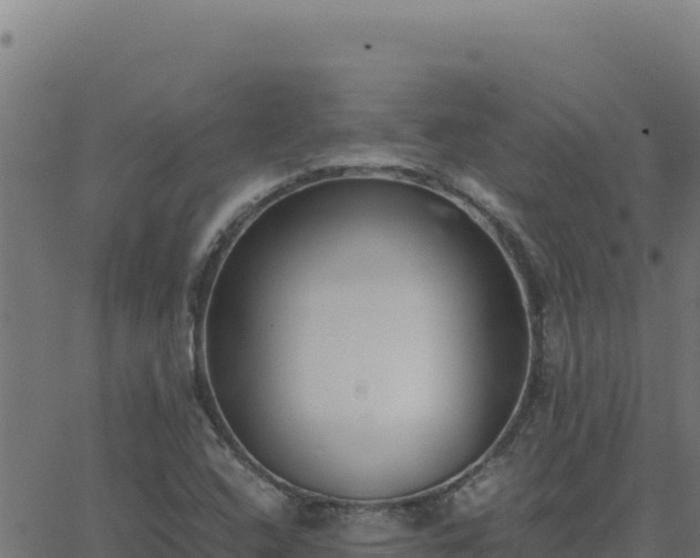 X0000062851408200601201651