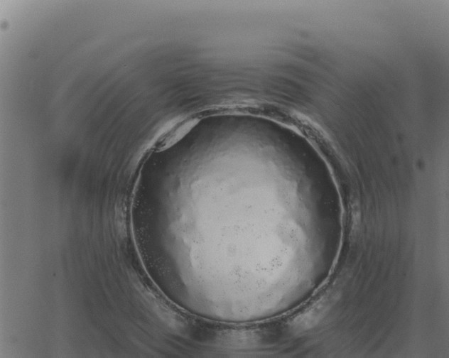 X0000062851409200601201652