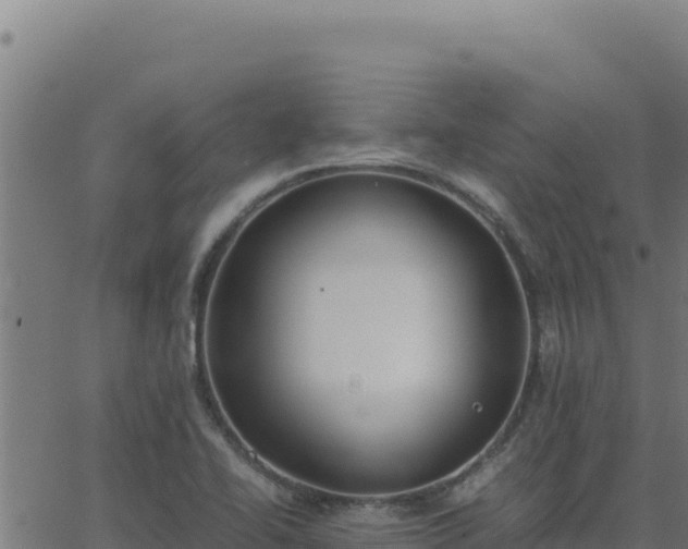 X0000062851414200601201652