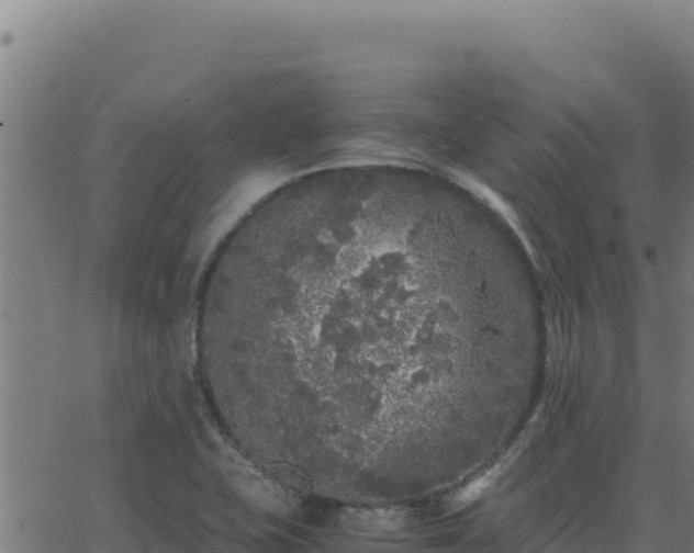 X0000062851415200601201652