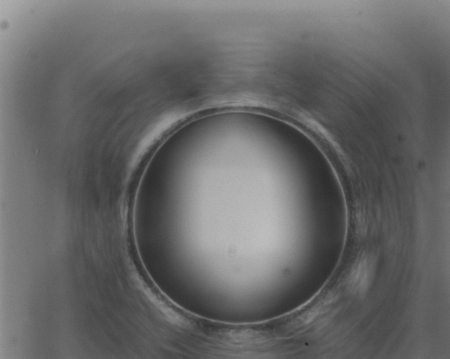 X0000062851416200601201652