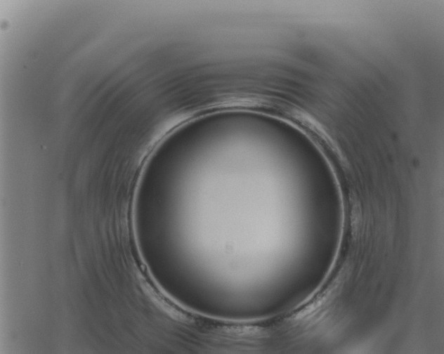 X0000062851417200601201652