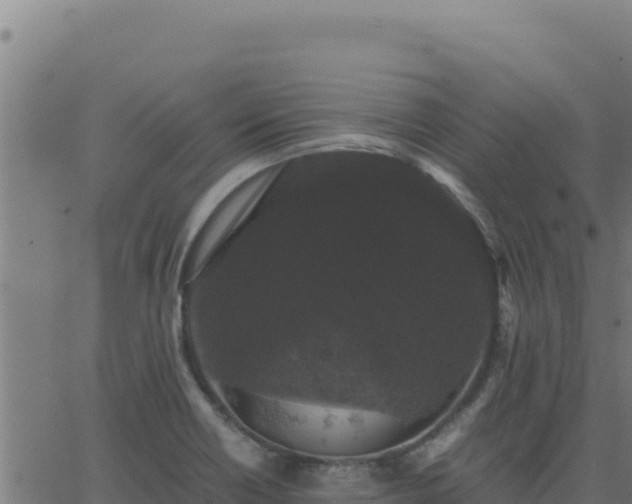 X0000062851418200601201652