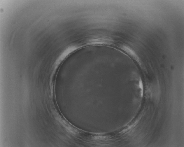 X0000062851419200601201652