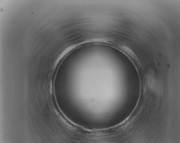 X0000062851420200601201652