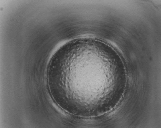 X0000062851421200601201652