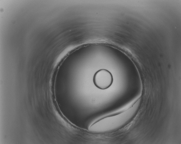 X0000062851422200601201652