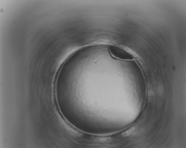 X0000062851423200601201652