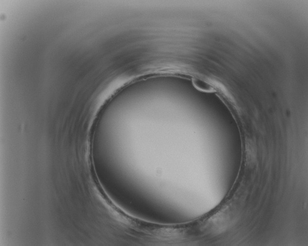 X0000062851424200601201652