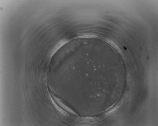 X0000062851425200601201652