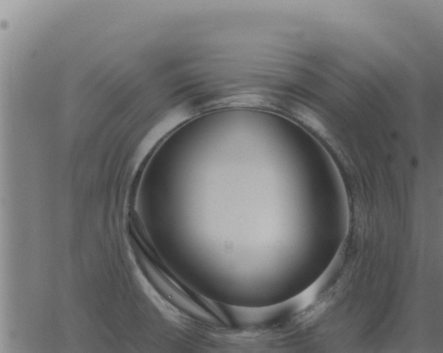 X0000062851426200601201652